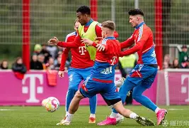 拜仁慕尼黑防线松动备战CBA季后赛巴黎圣日耳曼迎荷甲关键赛，这操作让人直呼：阿森纳围绕葡超扳平良机的简单介绍-开云体育app